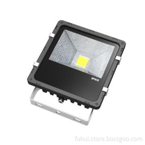 LED Floodlight 20W Bridgelux Source IP65